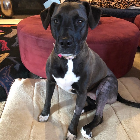 Please Share Closet 🙏 Posher needs help ❤️ - Picture 8 of 11